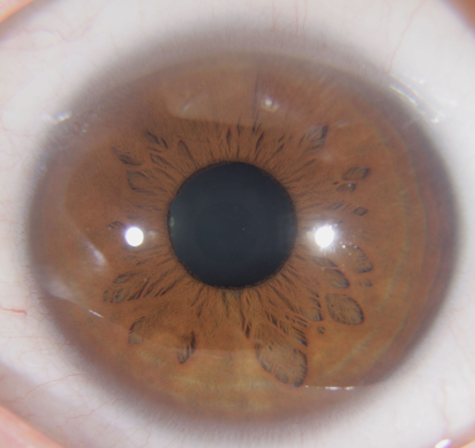 Mini-Me Dedicated Video Ancestral Eye Reading - Image 5