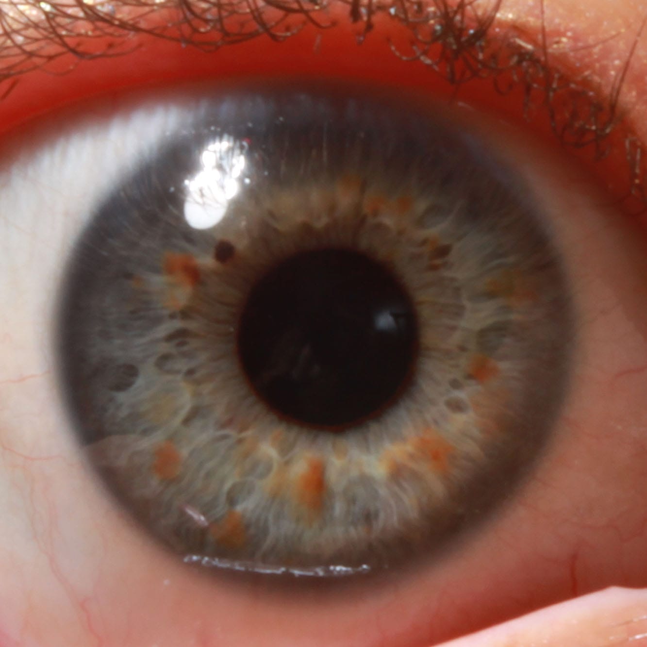 Mini-Me Dedicated Video Ancestral Eye Reading - Image 3