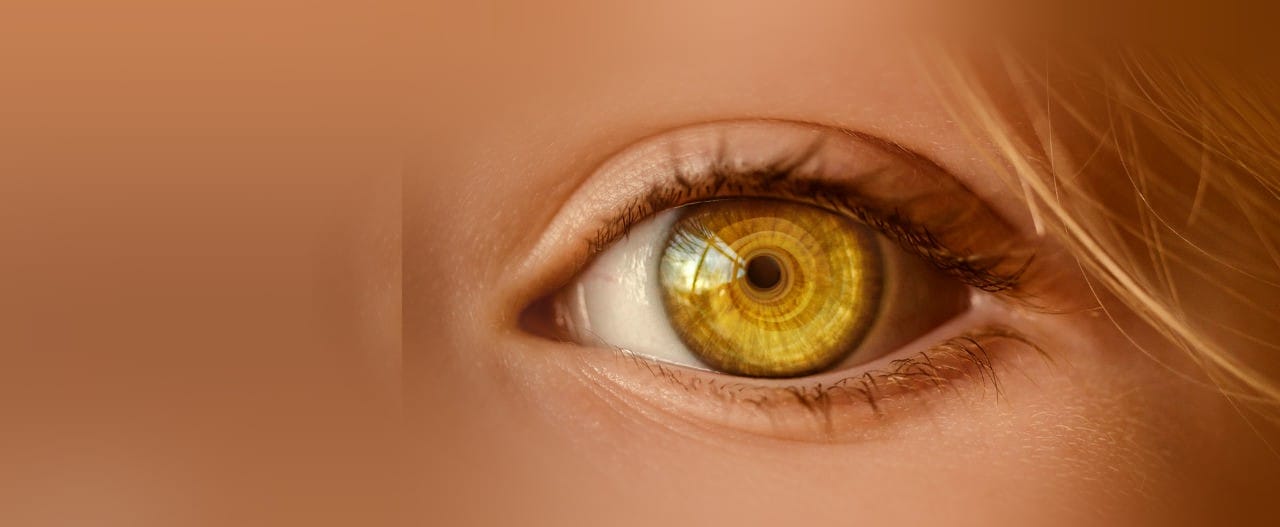 Mini-Me Dedicated Video Ancestral Eye Reading - Image 2