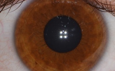 The Tribal Eye
